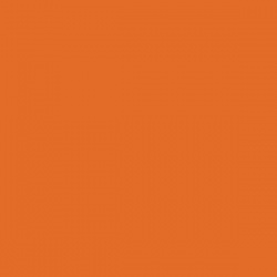 Light Orange BS381 557 Aerosol Paint